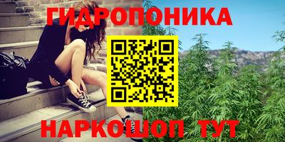 не бодяженный Тара