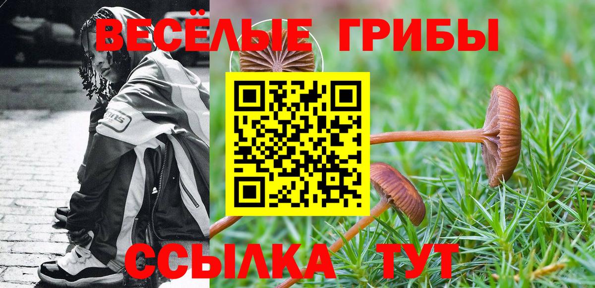 Псилоцибиновые грибы Cubensis  Вход с VPN  Псилоцибиновые грибы Psilocybine cubensis  Можга 