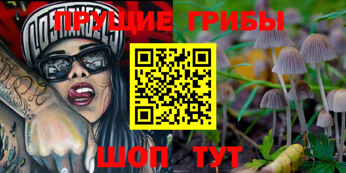 Псилоцибиновые грибы Psilocybine cubensis Можга
